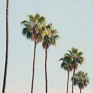 Meet your Posher, Sophia